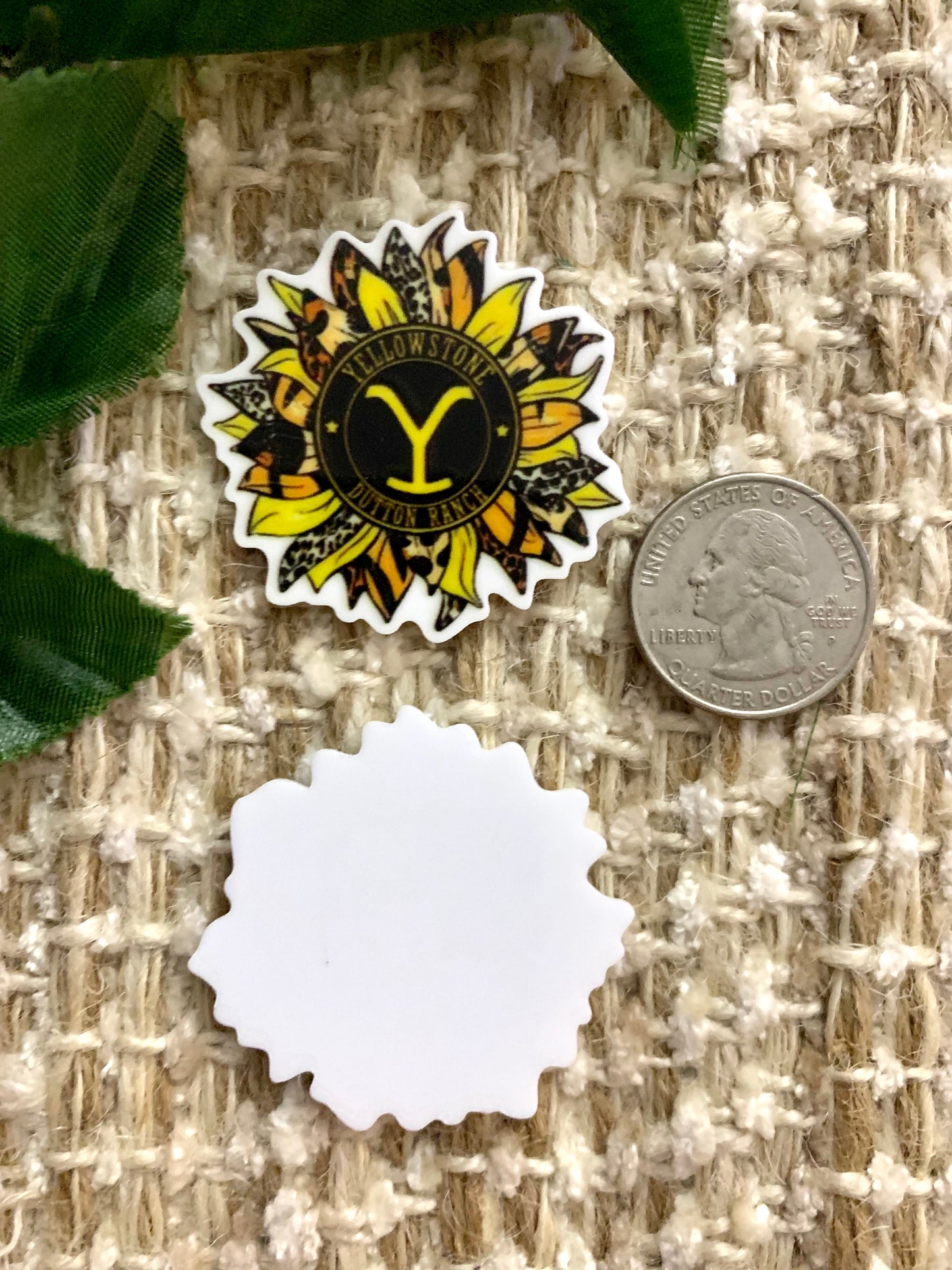 Yellowstone sunflower. FB