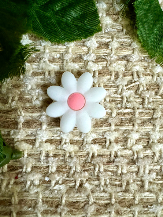 White daisy with pink. Fb